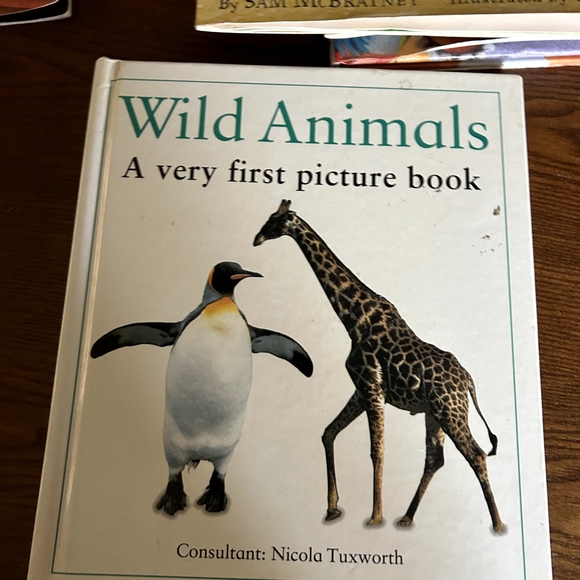 Children's Book Collection - Picture 9 of 12